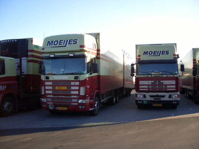 Scania+DAF-Moeijes-(Stober)[1].jpg - Ingo Stober